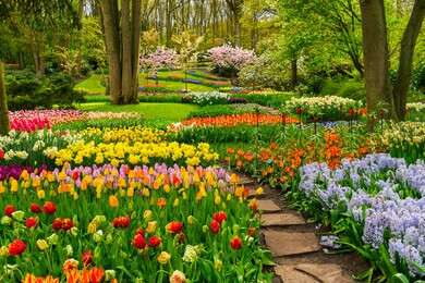garden - example image