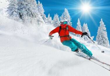 ski - example image