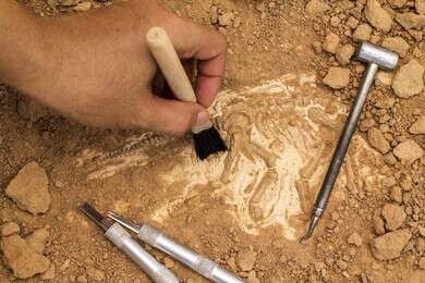 archaeology - example image