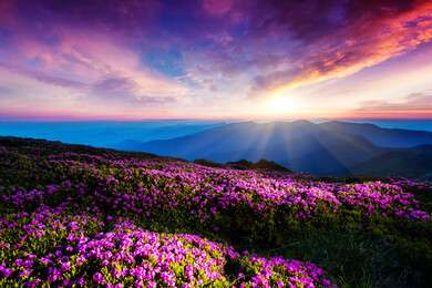 glory - example image