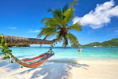 paradise - example image