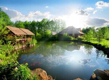 pond - example image