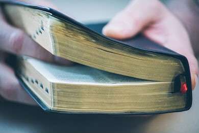 Bible - example image