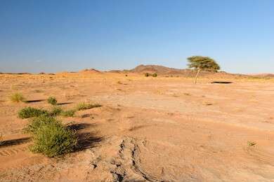 arid - example image