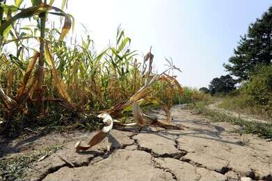 drought - example image