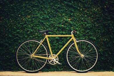 bike - example image