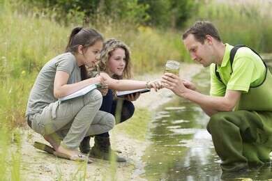 ecology - example image