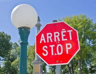 bilingual - example image