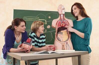 biology - example image