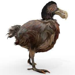 extinction - example image