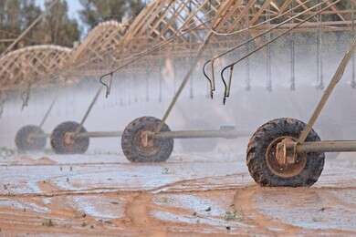 irrigate - example image