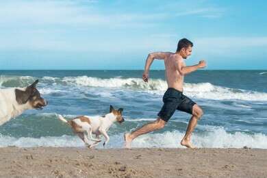chase - example image