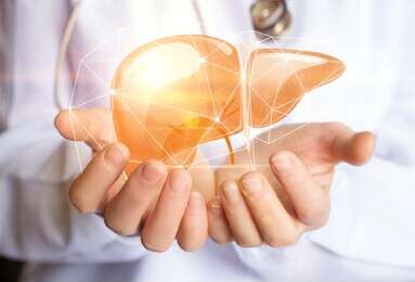 liver - example image
