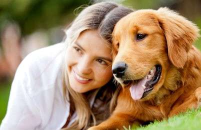 dog - example image