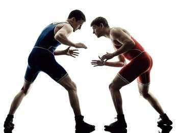 wrestle - example image