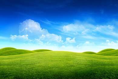grass - example image