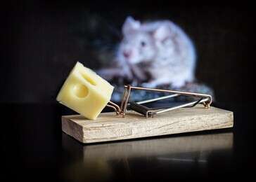 rid - example image