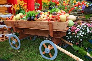wagon - example image