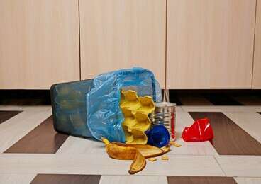 rubbish - example image