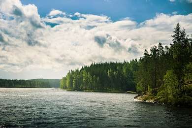 nature - example image