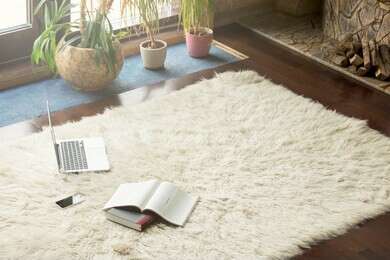 carpet - example image