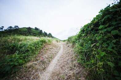 trail - example image