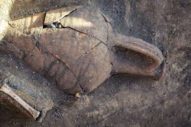prehistoric - example image