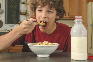 cereal - example image