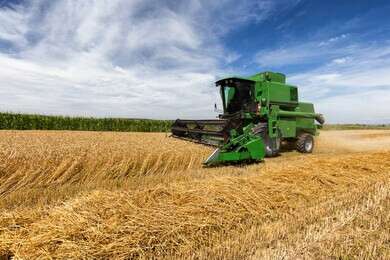 harvest - example image