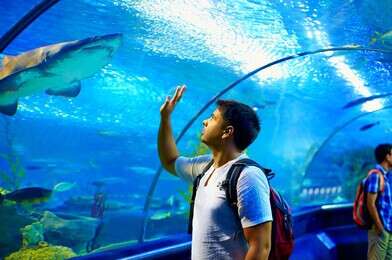 aquarium - example image