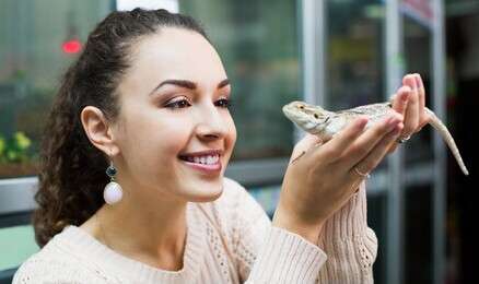 reptile - example image