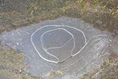 puddle - example image