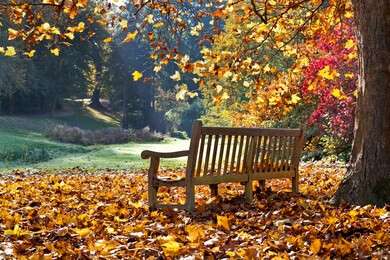 season - example image