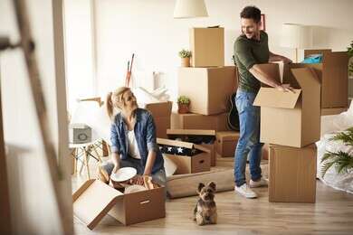 tenant - example image