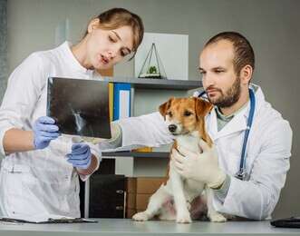 diagnosis - example image