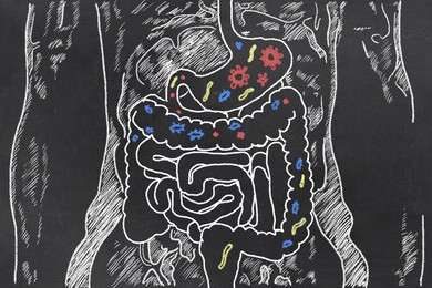 gut - example image