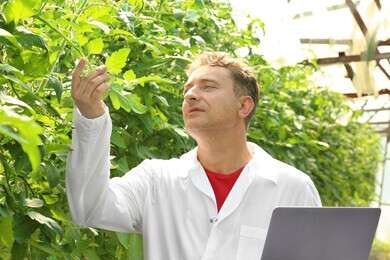 agriculture - example image