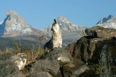 cliff - example image