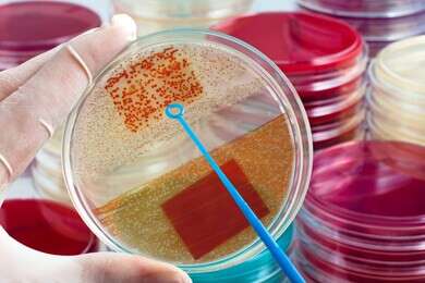 biological - example image