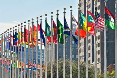 international - example image