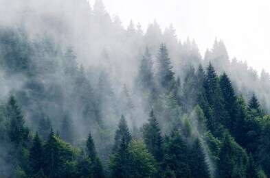 mist - example image