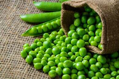 pea - example image