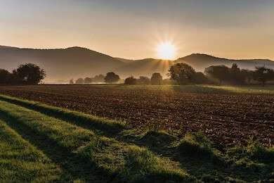 dawn - example image