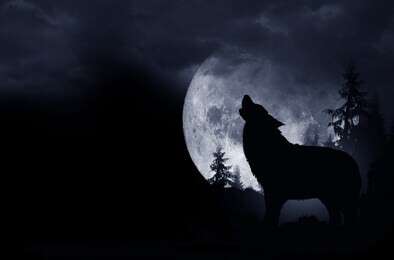 howl - example image