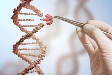 DNA - example image