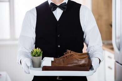 butler - example image