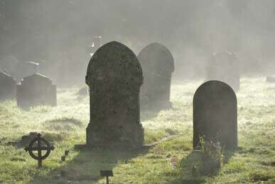 deceased - example image