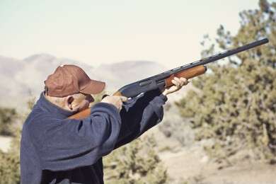shoot - example image