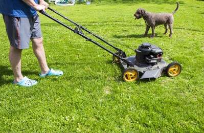 lawn - example image