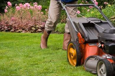 mow - example image